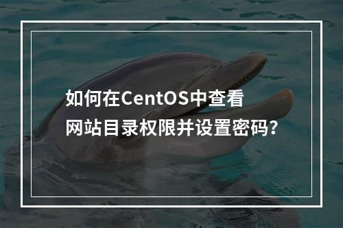 如何在CentOS中查看网站目录权限并设置密码?