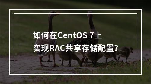 如何在CentOS 7上实现RAC共享存储配置?