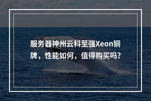 服务器神州云科至强Xeon铜牌,性能如何,值得购买吗?