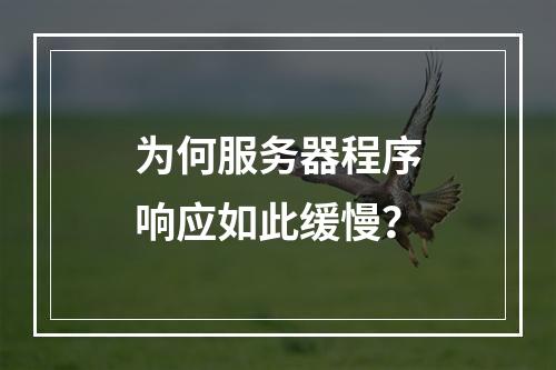 为何服务器程序响应如此缓慢?