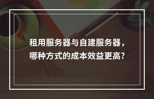 租用服务器与自建服务器,哪种方式的成本效益更高?
