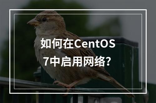 如何在CentOS 7中启用网络?