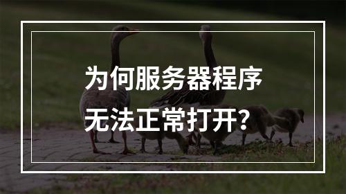 为何服务器程序无法正常打开?
