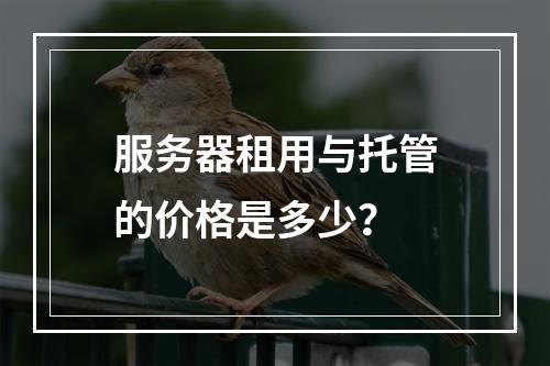 服务器租用与托管的价格是多少?