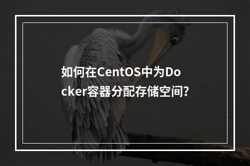 如何在CentOS中为Docker容器分配存储空间?