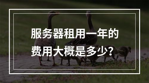 服务器租用一年的费用大概是多少?