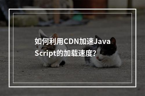 如何利用CDN加速JavaScript的加载速度?
