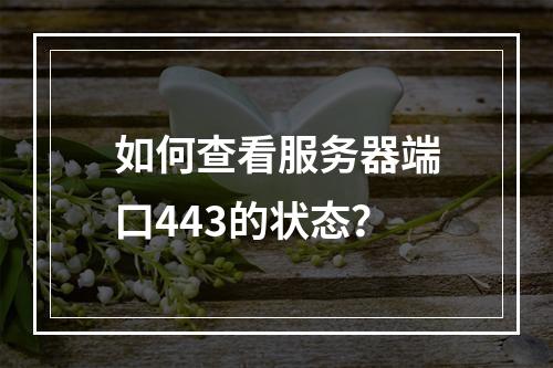 如何查看服务器端口443的状态?