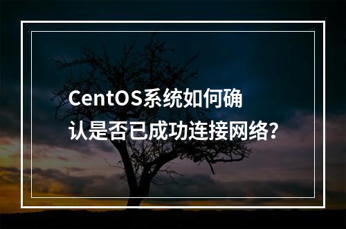 CentOS系统如何确认是否已成功连接网络?