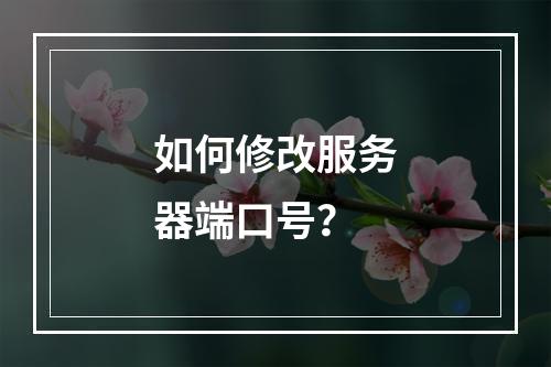 如何修改服务器端口号?