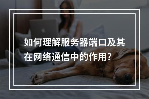 如何理解服务器端口及其在网络通信中的作用?
