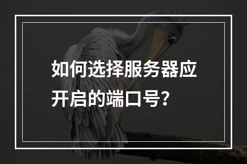 如何选择服务器应开启的端口号?