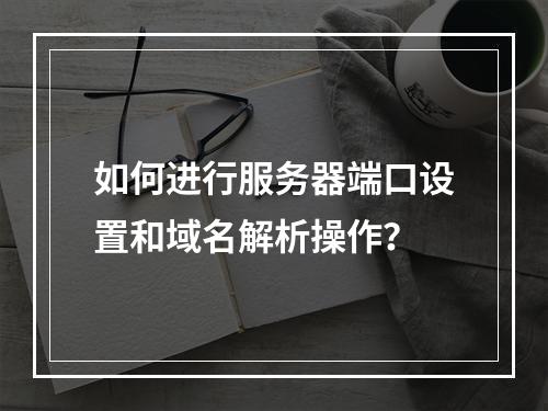 如何进行服务器端口设置和域名解析操作?
