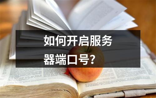 如何开启服务器端口号?
