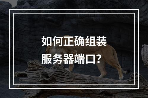 如何正确组装服务器端口?