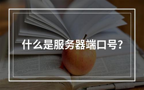 什么是服务器端口号?