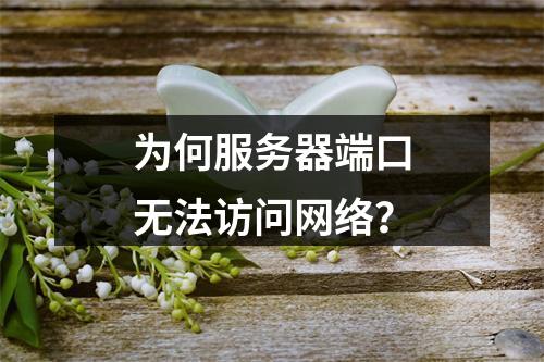 为何服务器端口无法访问网络?