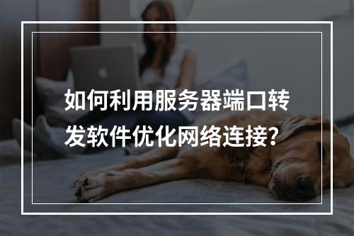 如何利用服务器端口转发软件优化网络连接?