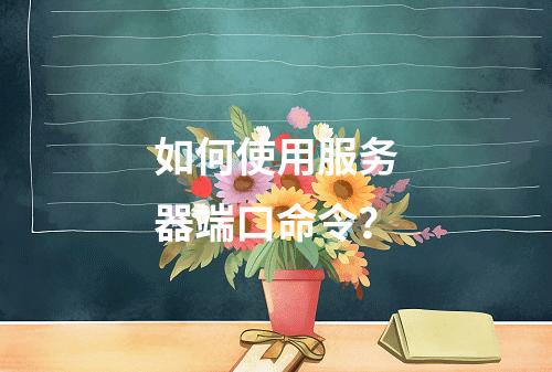 如何使用服务器端口命令?