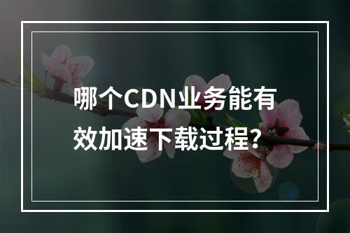 哪个CDN业务能有效加速下载过程?