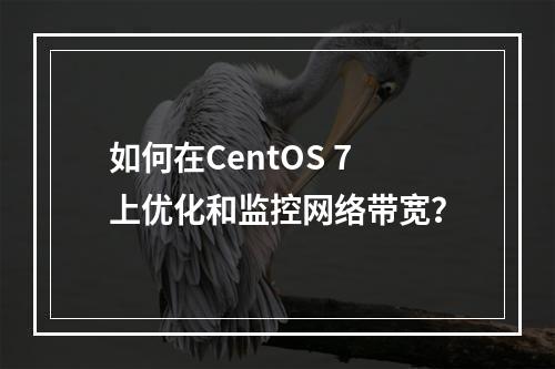 如何在CentOS 7上优化和监控网络带宽?