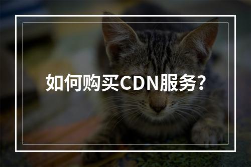 如何购买CDN服务?