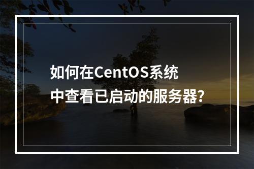 如何在CentOS系统中查看已启动的服务器?