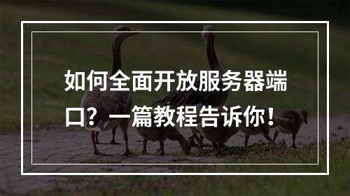 如何全面开放服务器端口?一篇教程告诉你!