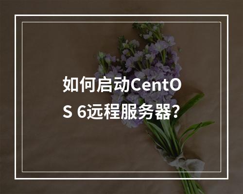 如何启动CentOS 6远程服务器?