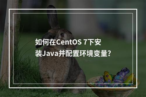 如何在CentOS 7下安装Java并配置环境变量?