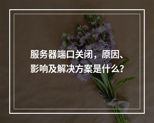 服务器端口关闭,原因、影响及解决方案是什么?