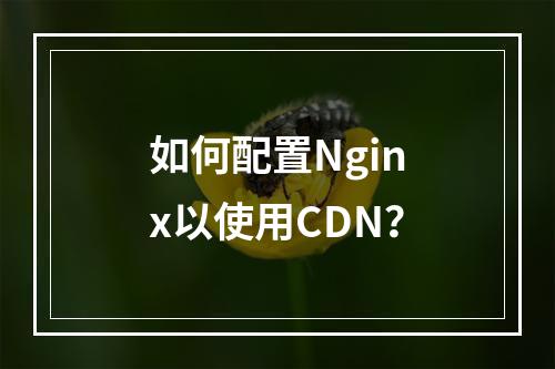 如何配置Nginx以使用CDN?