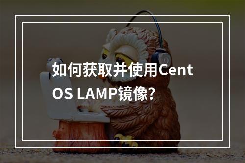 如何获取并使用CentOS LAMP镜像?