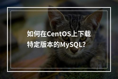 如何在CentOS上下载特定版本的MySQL?