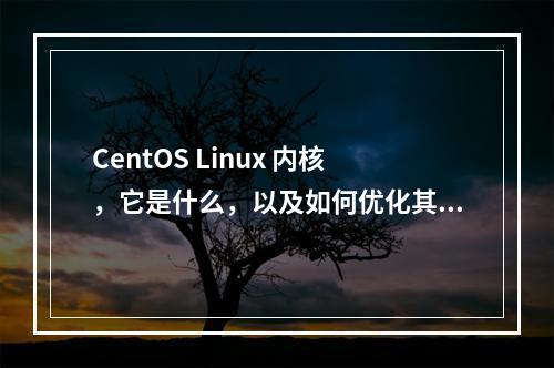 CentOS Linux 内核,它是什么,以及如何优化其性能?