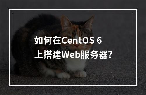 如何在CentOS 6上搭建Web服务器?
