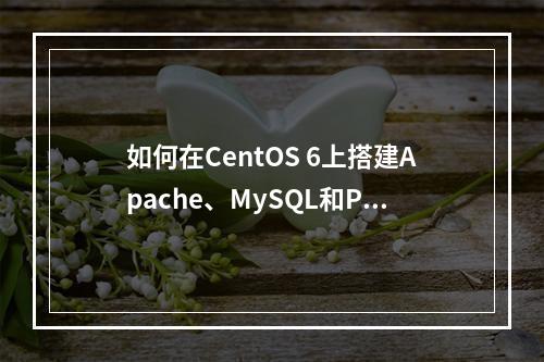 如何在CentOS 6上搭建Apache、MySQL和PHP7环境?