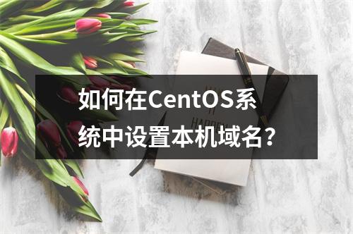 如何在CentOS系统中设置本机域名?