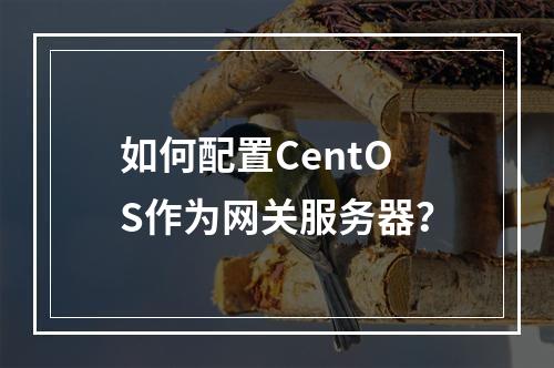 如何配置CentOS作为网关服务器?