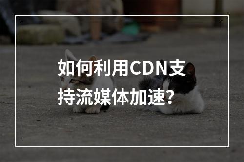 如何利用CDN支持流媒体加速?