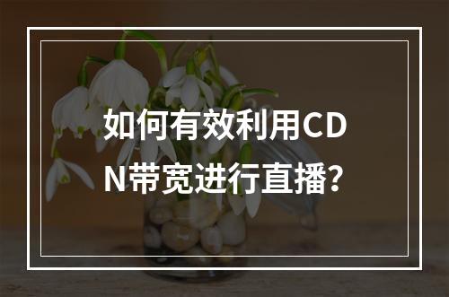 如何有效利用CDN带宽进行直播?