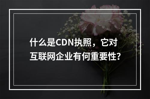 什么是CDN执照,它对互联网企业有何重要性?