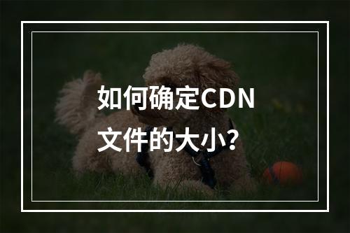 如何确定CDN文件的大小?