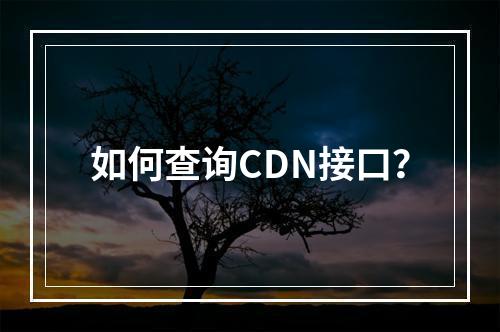 如何查询CDN接口?