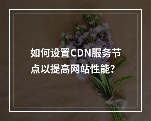 如何设置CDN服务节点以提高网站性能?