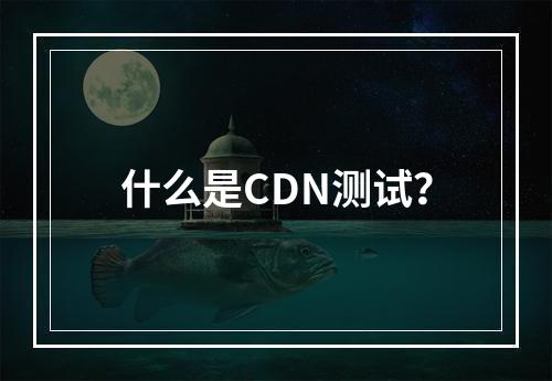 什么是CDN测试?