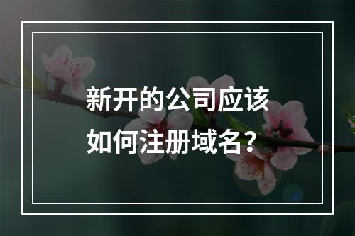 新开的公司应该如何注册域名?