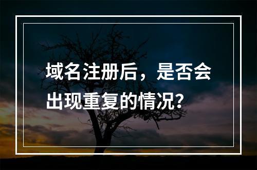 域名注册后,是否会出现重复的情况?