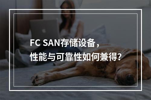 FC SAN存储设备,性能与可靠性如何兼得?