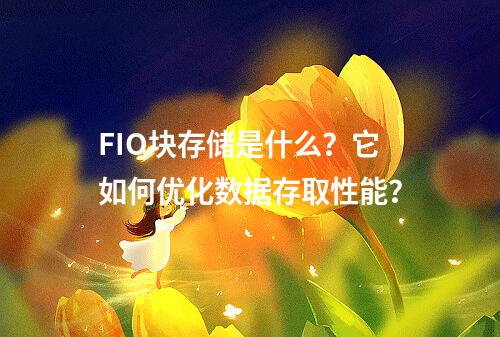 FIO块存储是什么?它如何优化数据存取性能?